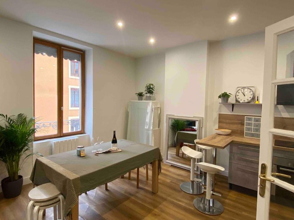 Spacious apartment Lyon 3 - 5