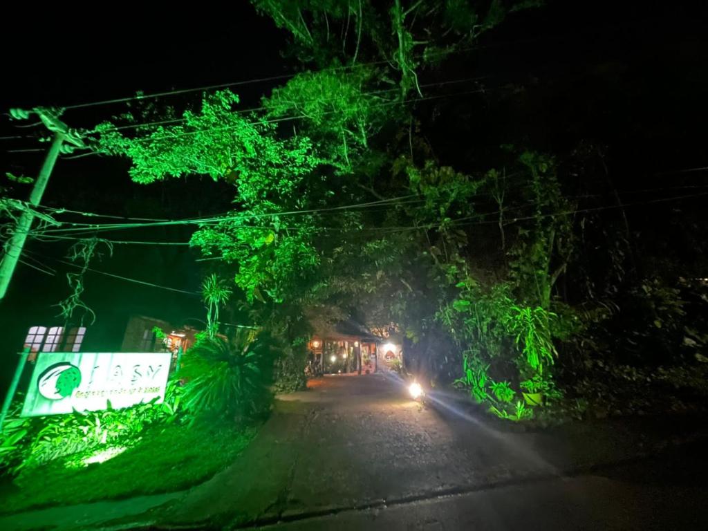 Hotel Jasy - 4