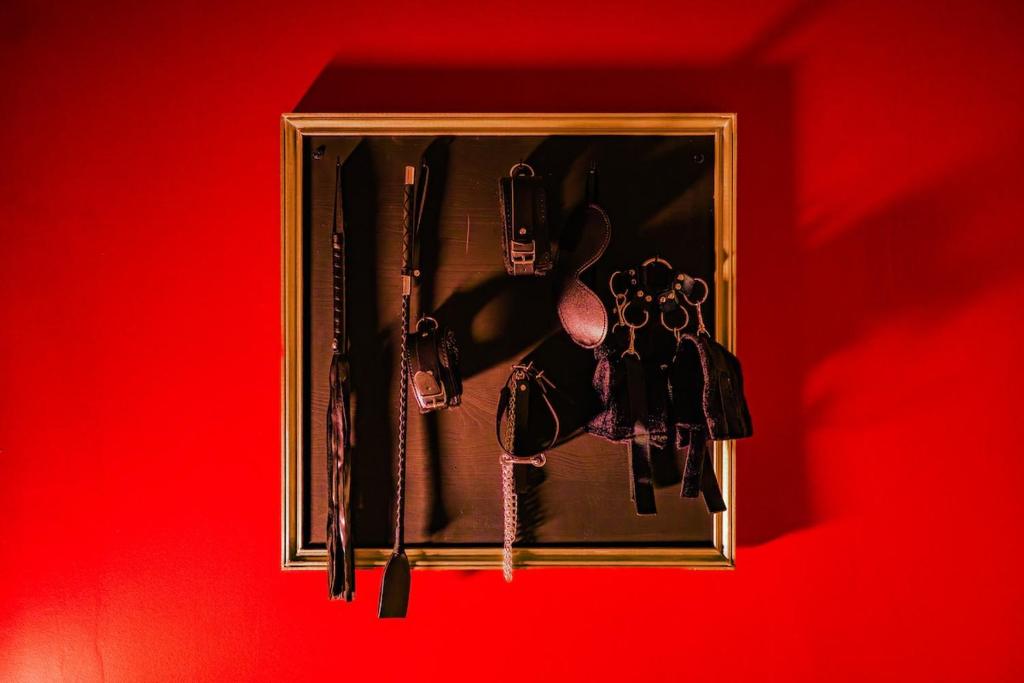 Dominia Secret - Love Room BDSM Elegance & spa - 4