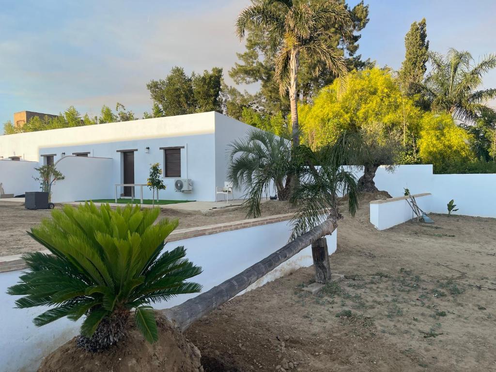 Golondrinas Verdes - 2