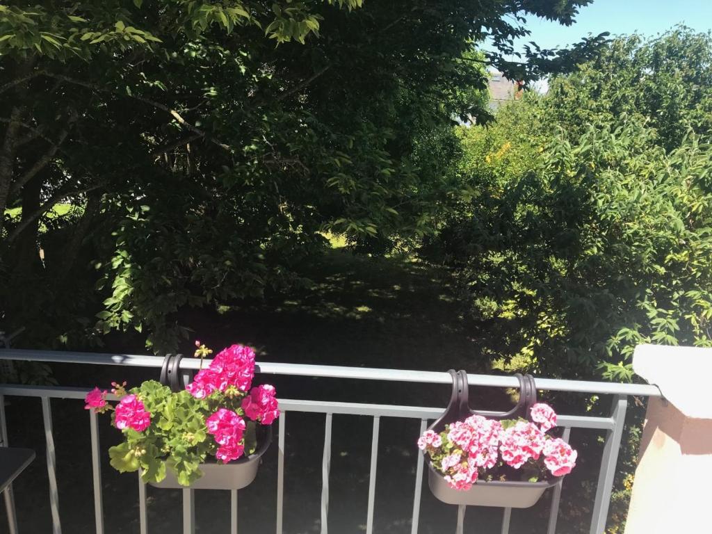 Chambre chez l'habitant avec jardin et garage à vélos - 4