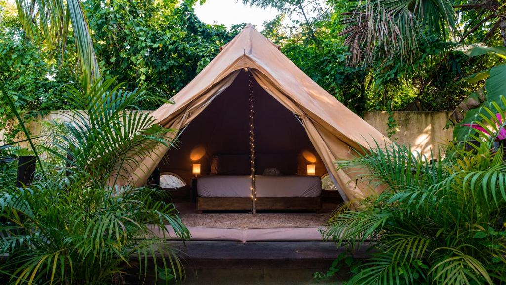 Shamalay - Nomad Experience - 3