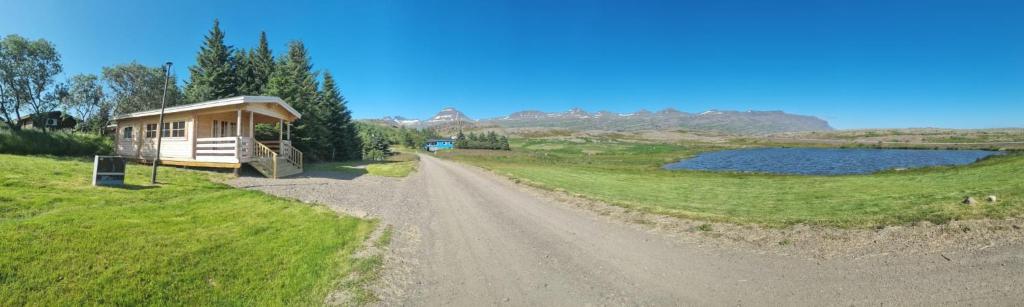 View