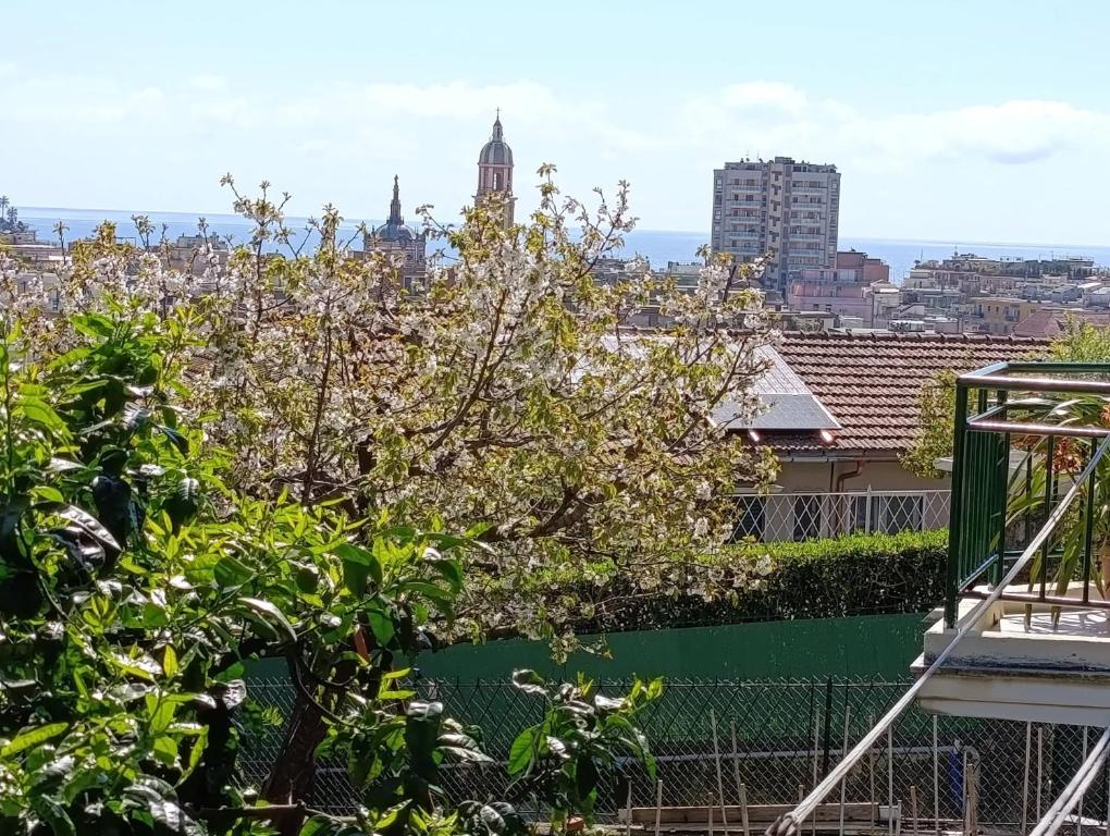 Tigullio House - 4