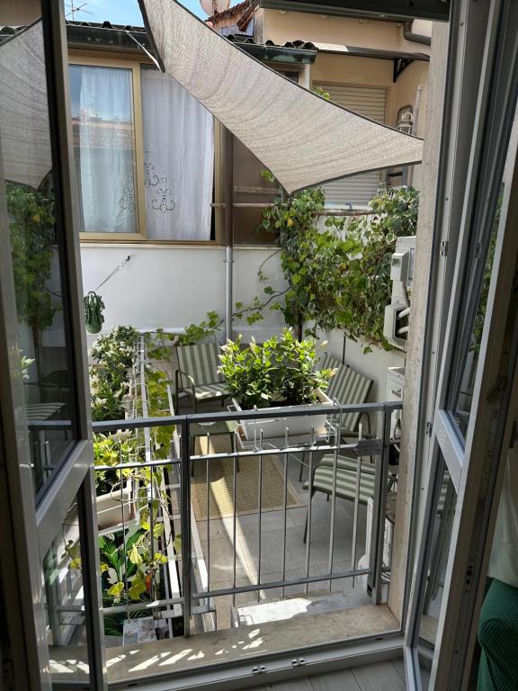 Casa Pineta & Mare - 4