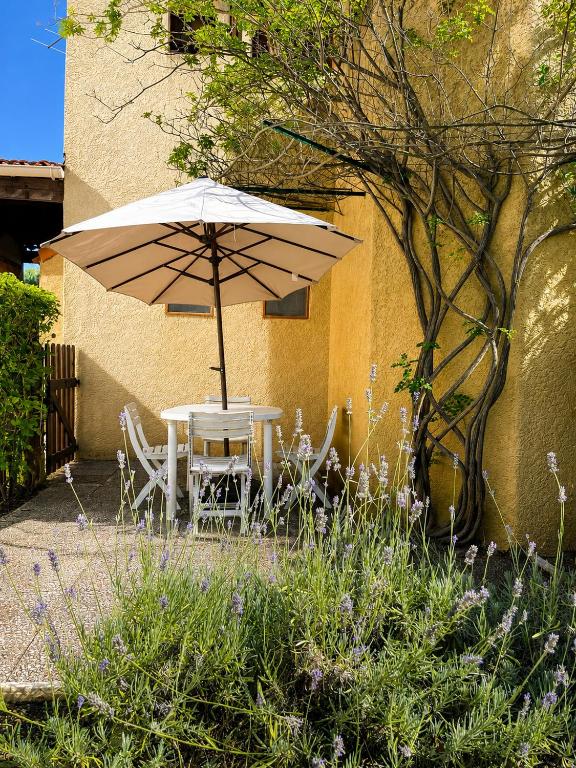 Studio climatisé avec jardin - 2