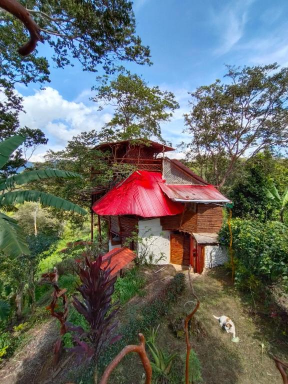 Hospedaje casa en el Árbol - 5