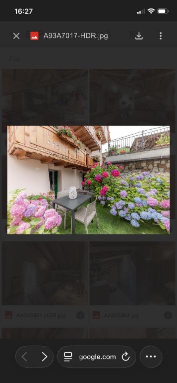 Panorama - 4