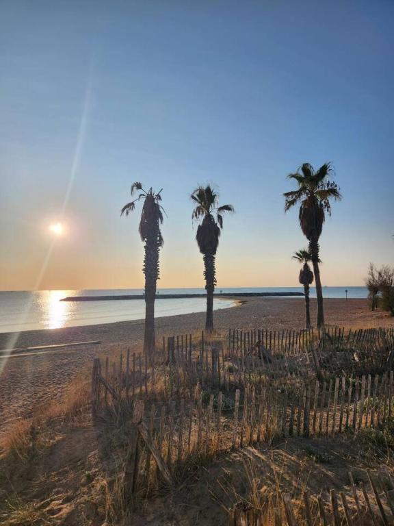 Studio Azur, terrace, parking, 10min from sea - 1