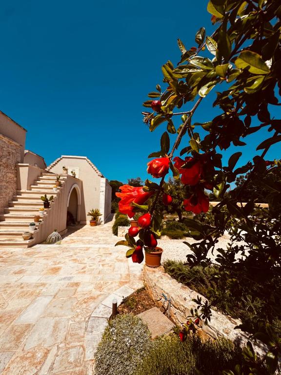 A casa di Claudia - 5