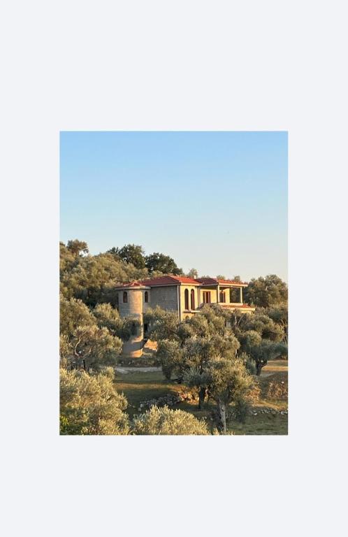 Whisper of Olives - 5 Min Drive to the Old Town, Bar - 1