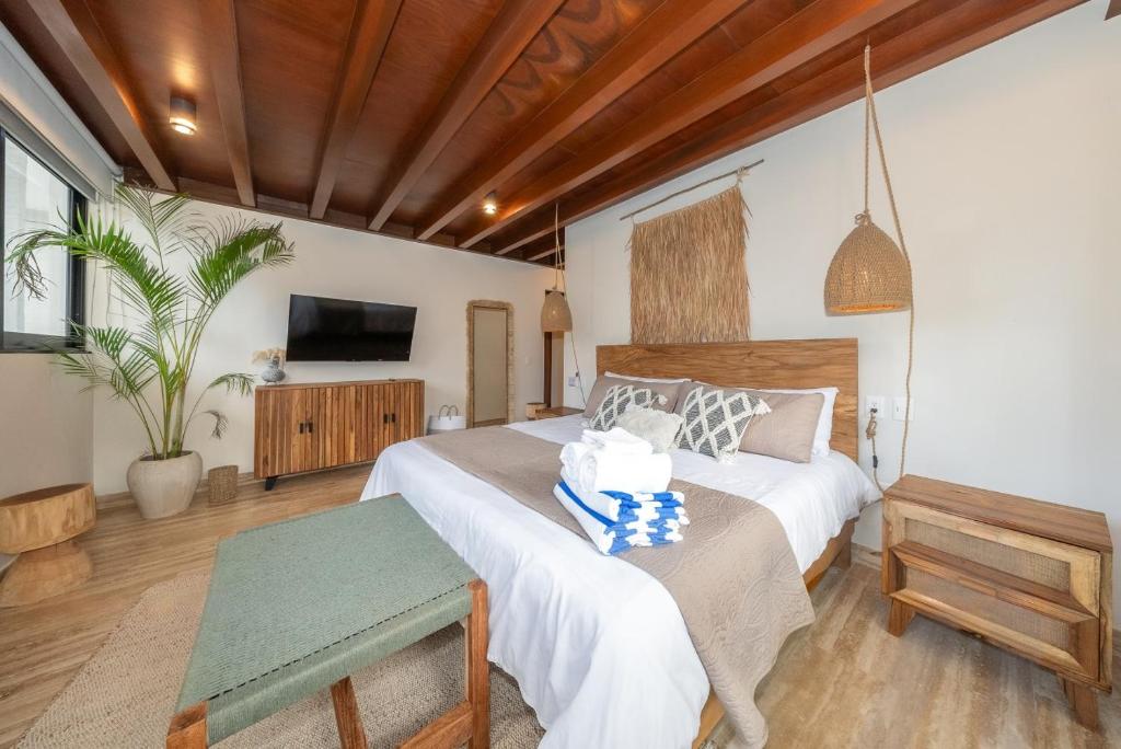 Exclusive Designer Duplex in Playacar - 2