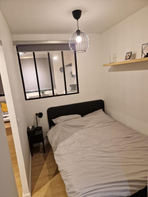 appartement toulouse - 5