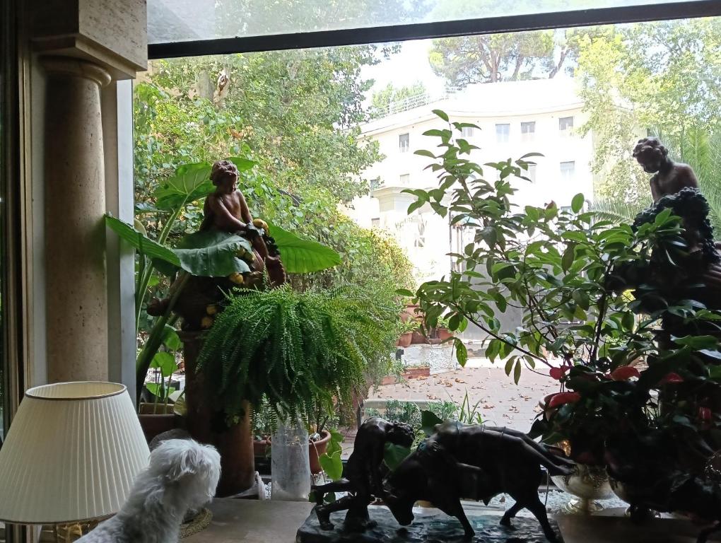 Casa FLAVIO - 5