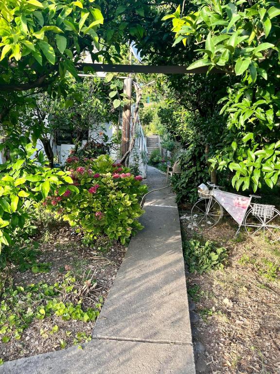 Cozy Garden Studio Apartment-Free Parking-Buljarica - 3