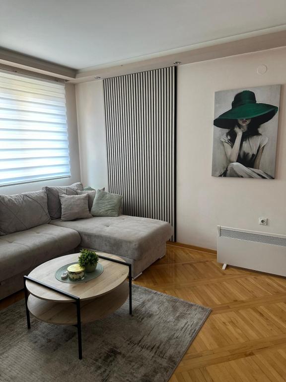 Apartman u centru Niša - 2