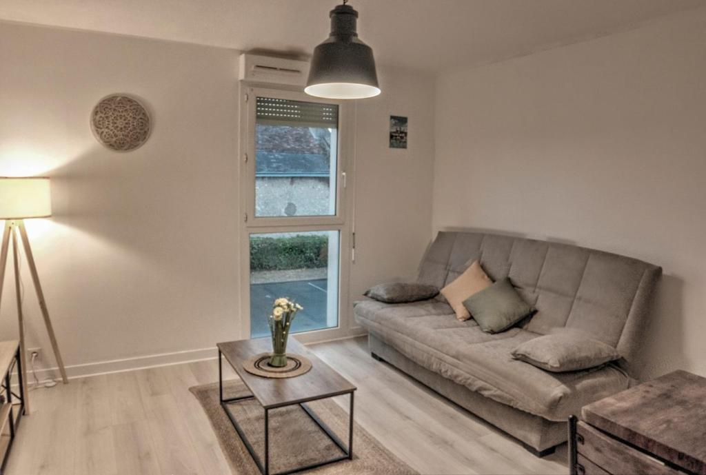 Blois Cozy Studio - 5