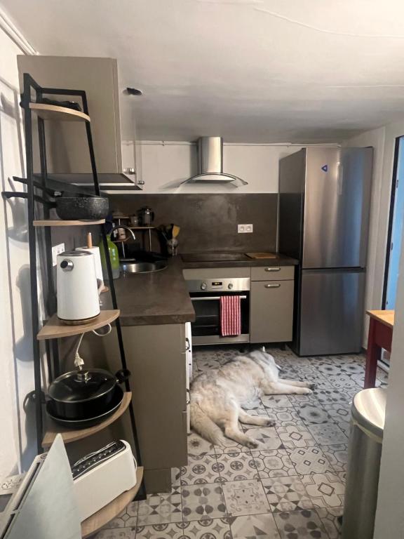 Appartement avec piscine et jacuzzi à 50mètres de la plage et 5min de l'allée des Pins - 2