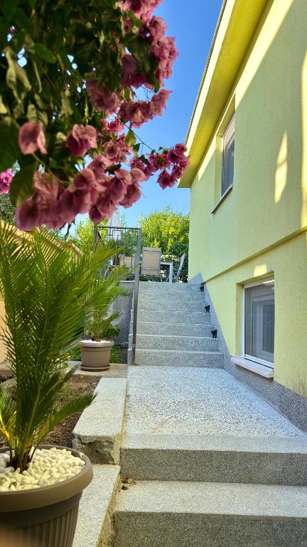 Dream Apartments - 1