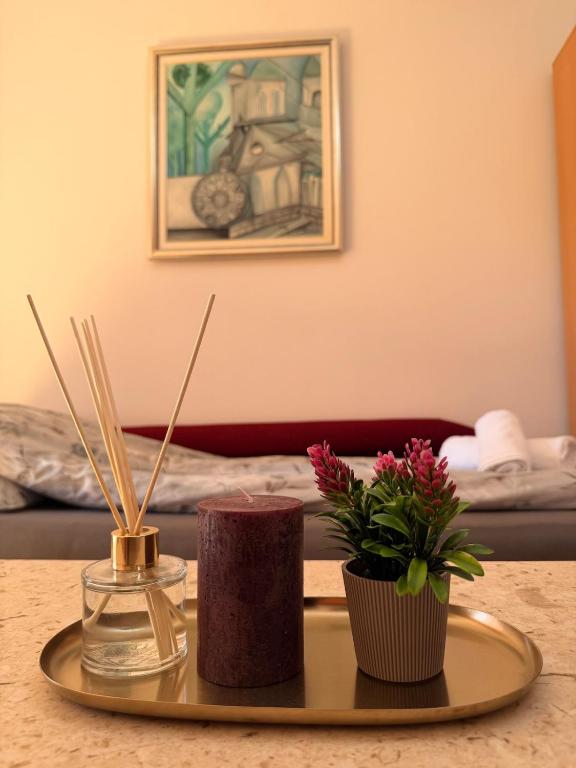 Haad Apartments in Sarajevo Centar - 4