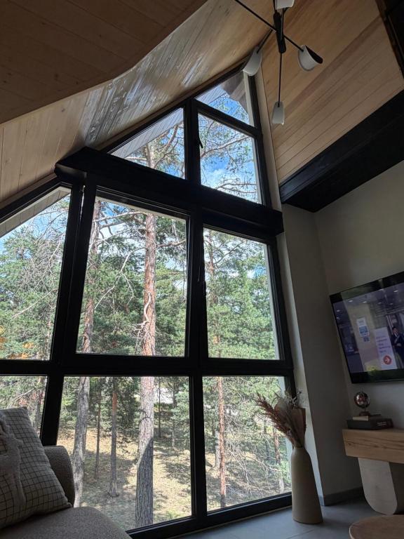 Anika - Mountain Home - 4