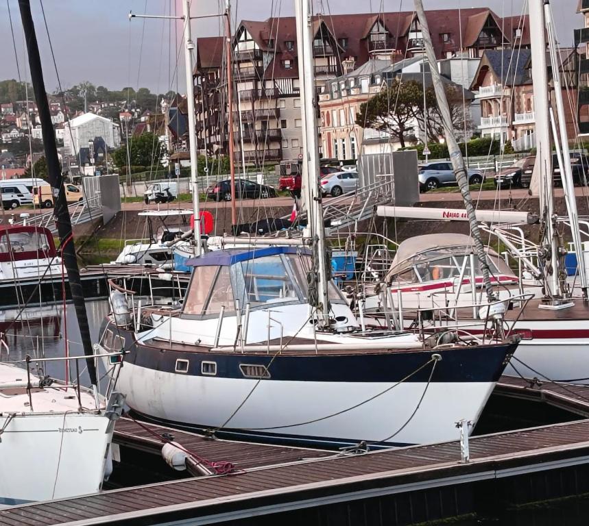 Hébergement sur un grand voilier confortable à Deauville - 5