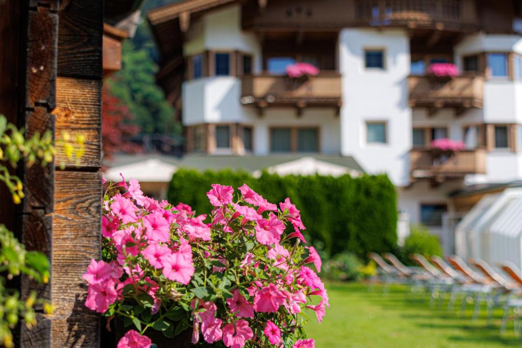 Olympia-Relax-Hotel Leonhard Stock - 5