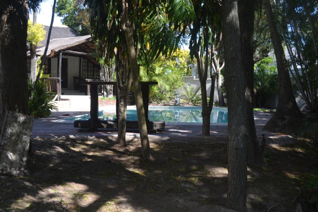 Swimming pool, Cycad Lodge in East London