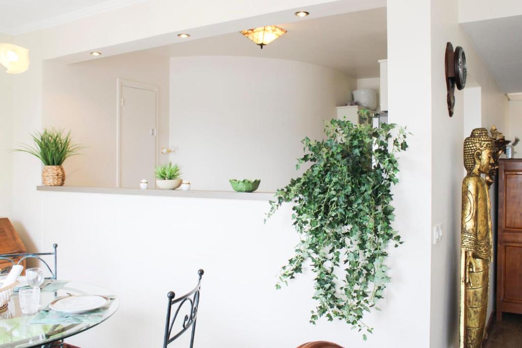 Appartement spacieux dans le 15e avec ascenseur - 5
