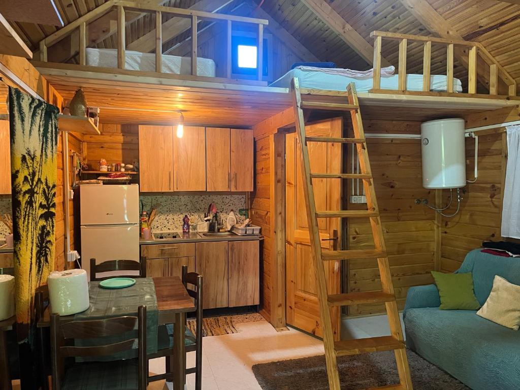 Guest house Laguna - 3