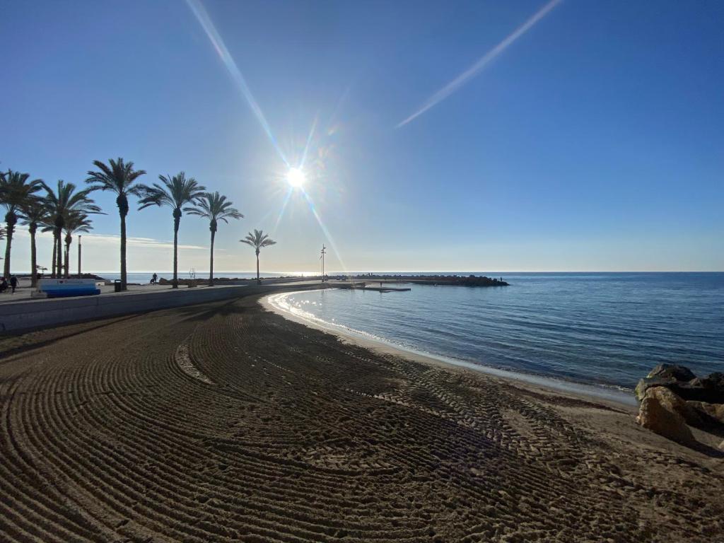 ZEN à TORREVIEJA - 2