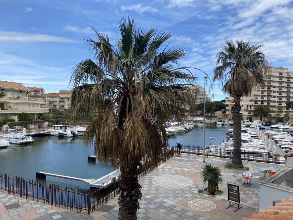 Amirauté Trois-pièces sur marinas - 3