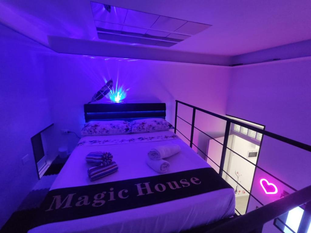 Magic House - 4