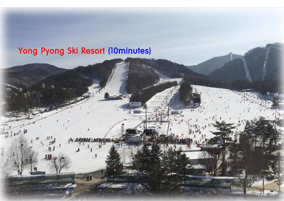 스포츠&체험활동