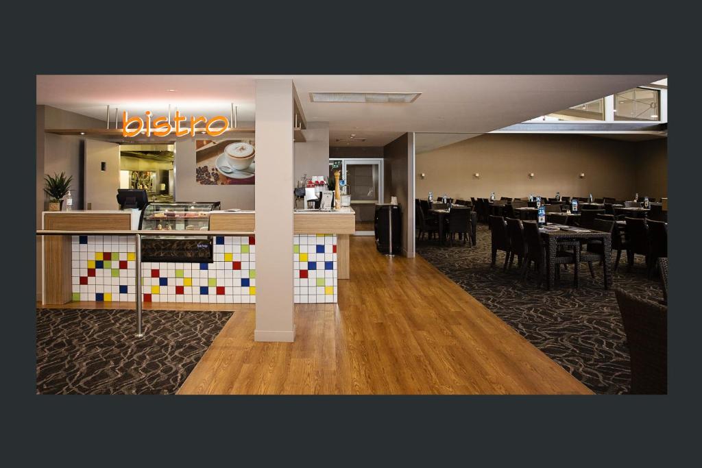 4. 화이트 레이스 ..