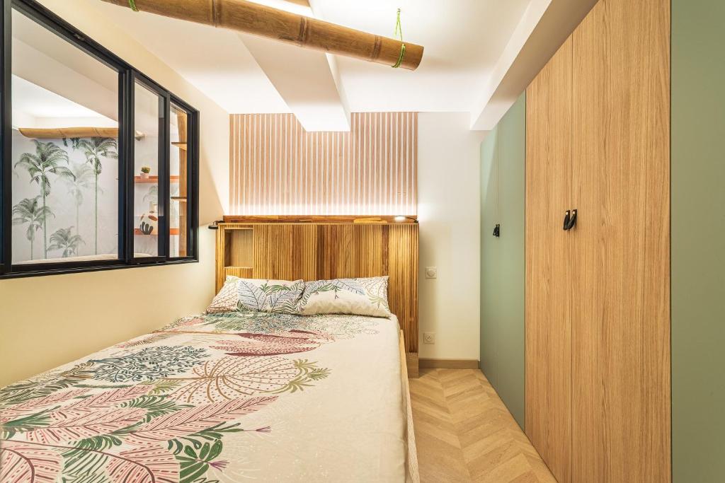 Suite Jungle Premium - Studio climatisé - 4