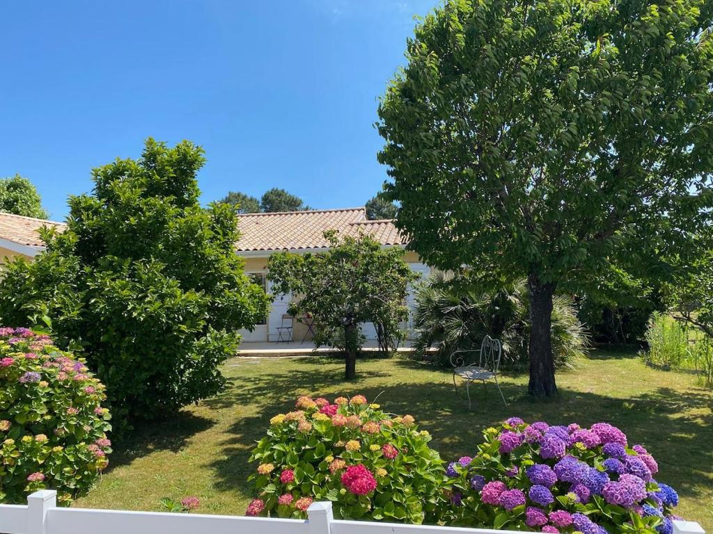Bed and Breakfast Villa Symphonie Bassin D'Arcachon - 3