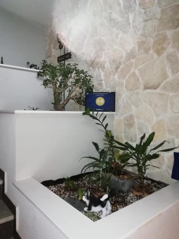 B&B La Grotta - 3