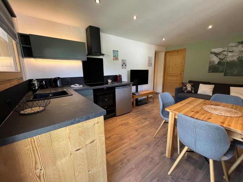 Spacious flat facing Mont Blanc - 4