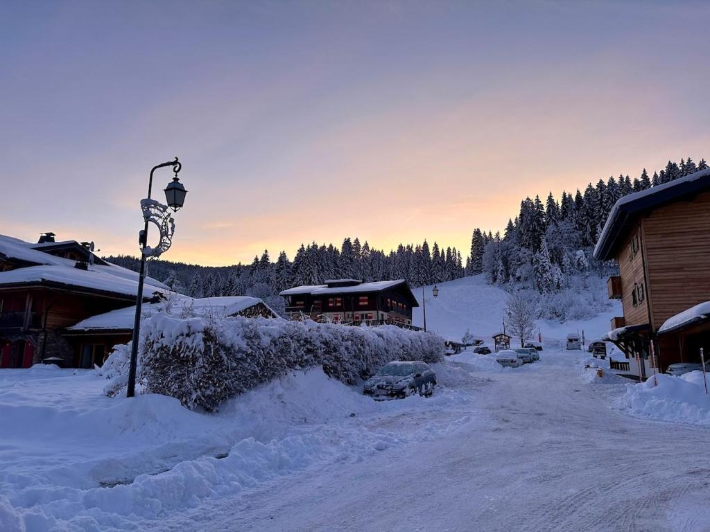 Luxury Facing Slopes ski in out - 5