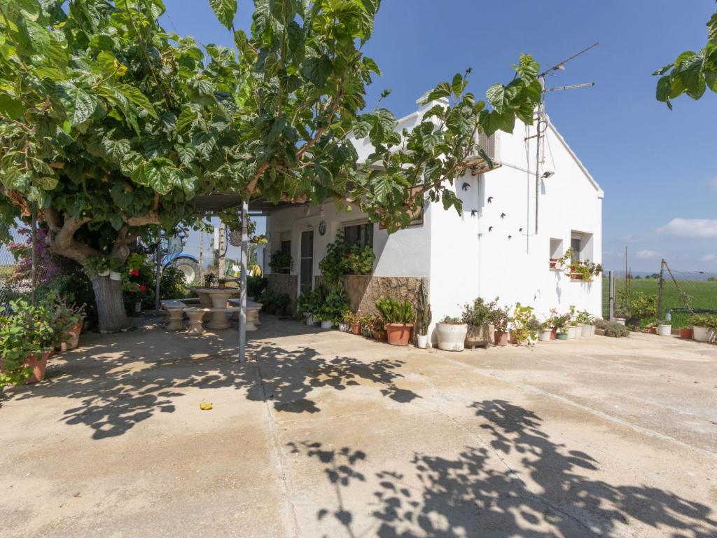 Holiday Home Pepeta by Interhome - 1