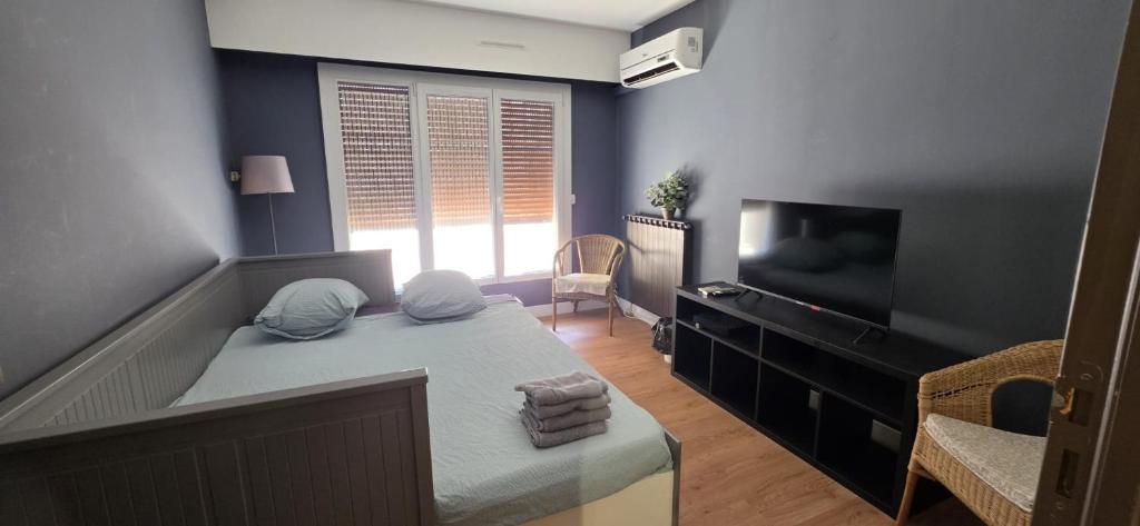 2 bedroom appartment in city center with air conditionned in calm street - 4