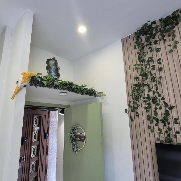 Appartement Jungle 4 places - 3