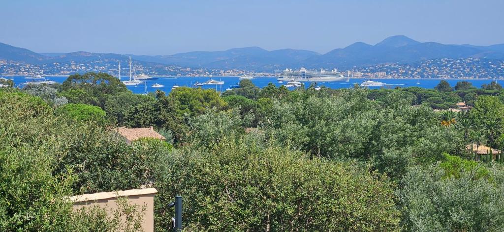 La Pierre Bleue - Saint-Tropez - 3