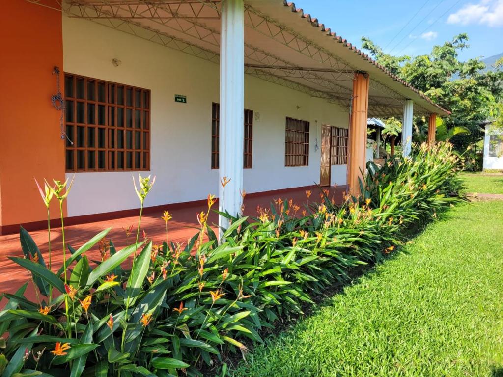 Finca Las Marias A&M - 3