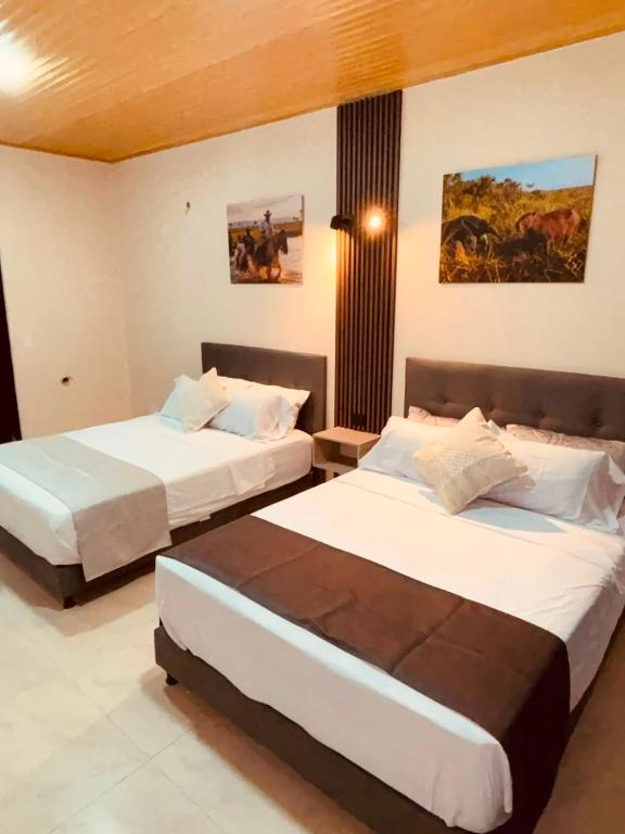 Hotel del Parque Arauca - 5