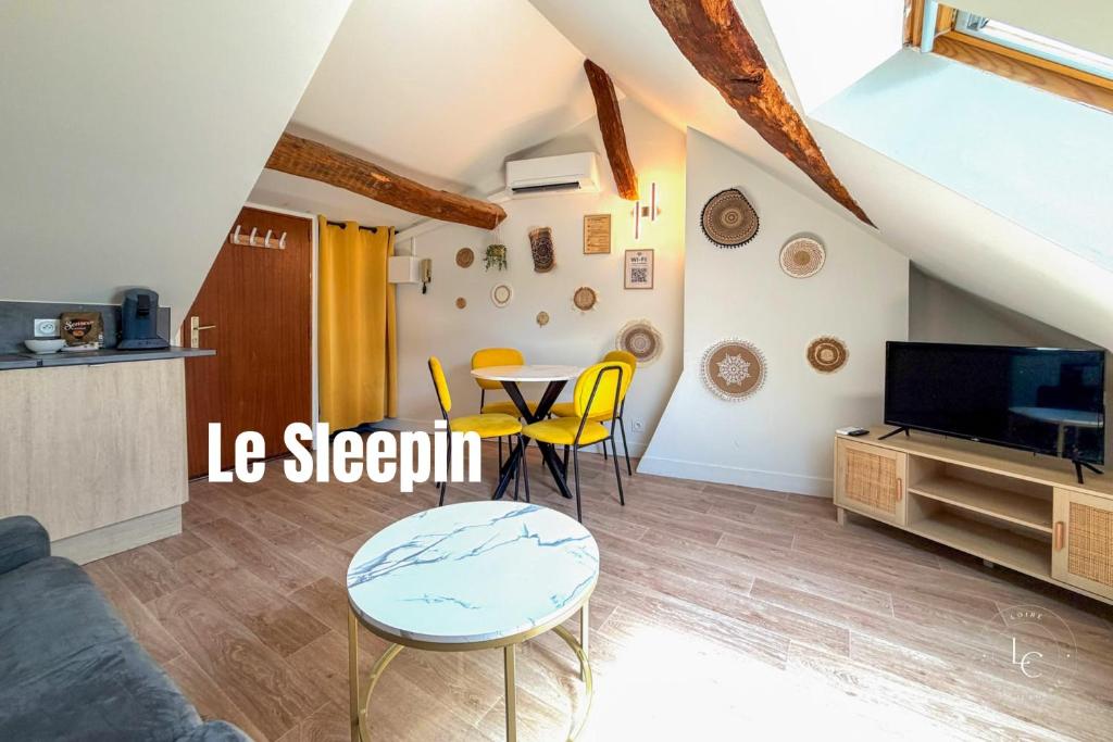 Le sleepin - T2 sous les toits d'Orléans - 1
