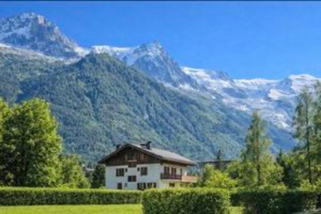 Bright apartment - near Mont Blanc - 1