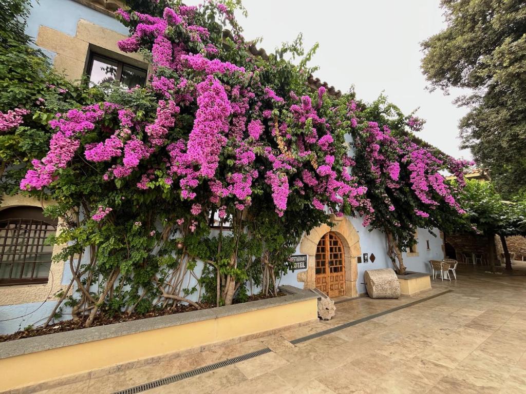 Boutique Hotel Comtal Empuries - 1