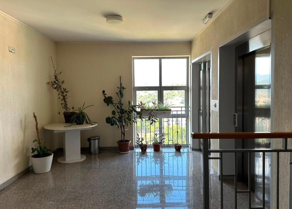 Hillton Art Apartments - 2